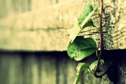 天蝎座最惧怕失掉什么