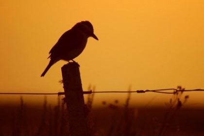 射手座厌烦什么星座