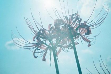 水瓶座值得自豪的事有那些