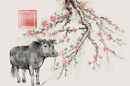 属相羊和属相牛能配吗 婚配的优缺陷 属相羊和属相牛能配吗 婚配的优缺陷