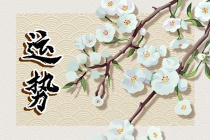 2026年12属相运势解析 属相运势运程简况