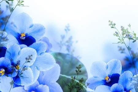 18楼层风水和属相,18楼层合适什么属相的人寓居