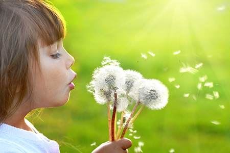 金牛座的婚姻缘有哪几个星座？金牛座的婚姻缘