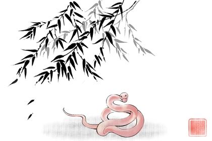 2026年属蛇遇天喜 在龙年2026年的运势怎么