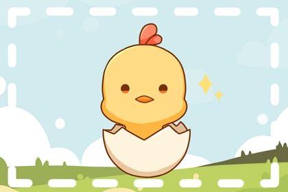 2026年属鸡的运势和财气1981年 财富宜保存