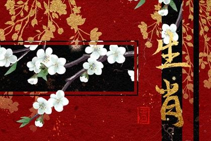 让男人上瘾的属相女 最让男人上头的属相女 让男人上瘾的属相女 最让男人上头的属相女