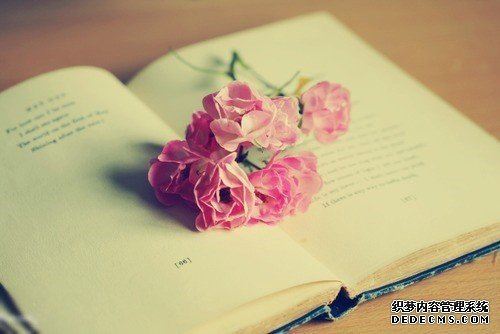 测验：你最近的桃花指数有多高？