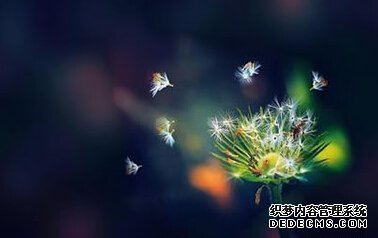 使你没了作业动力的是什么