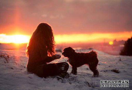 你最简单被哪种人骗