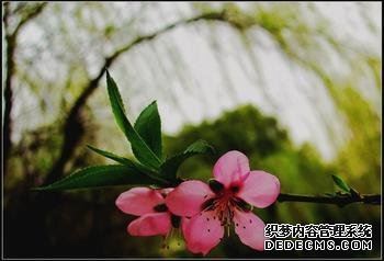 你在哪方面可以山穷水尽