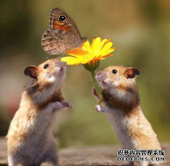 测验你最近的好运气