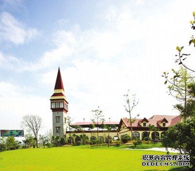 你对未来最大的寻求是什么