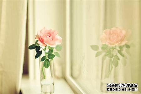 测验谁能给你美好？