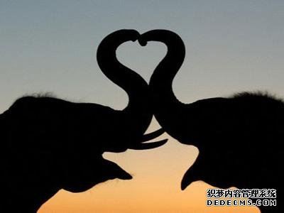 你是哪类的相亲女性