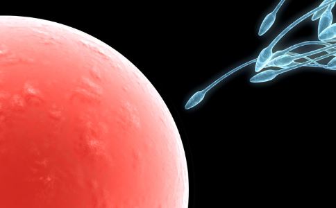 揭秘7种科学方法教你生男孩