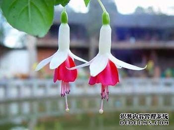 最让你头疼的是什么类型的人