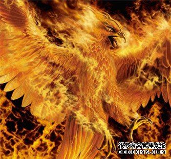 测验你有时机变凤凰吗