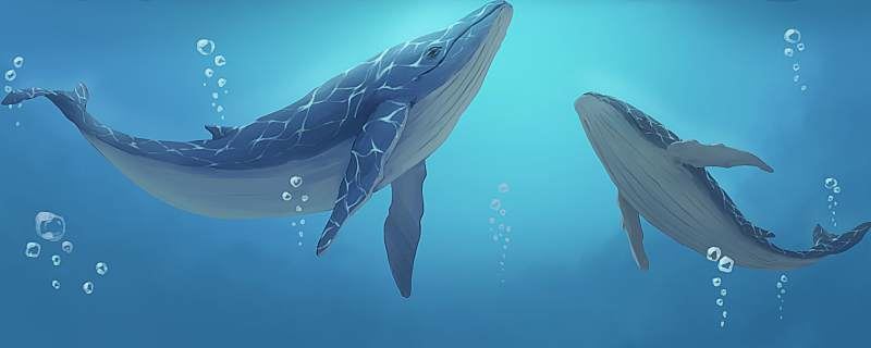 梦到老公哭什么意思 梦到老公哭有什么征兆