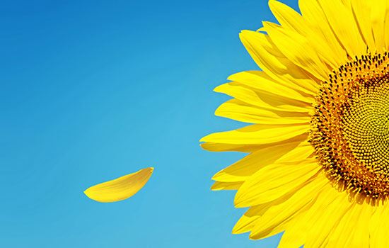 女性梦见死人花圈是什么意思 女性梦到死人花圈有什么征兆