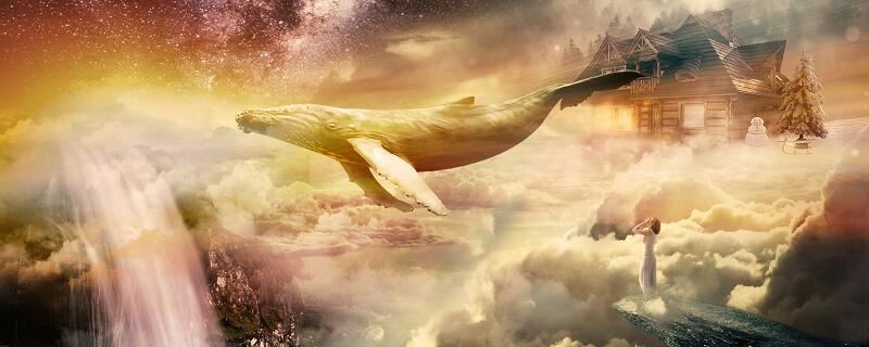 梦见投胎预示什么 梦见投胎有什么预兆