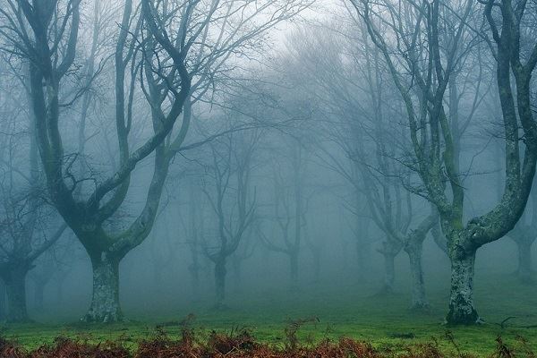 梦见投胎预示什么 梦见投胎有什么预兆