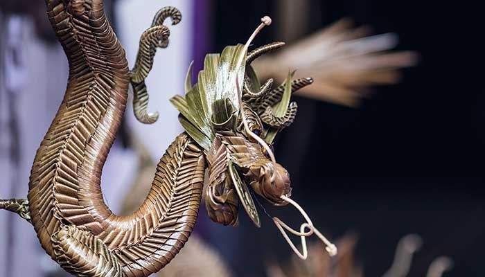 梦见龙入家什么意思 梦见龙入家好不好