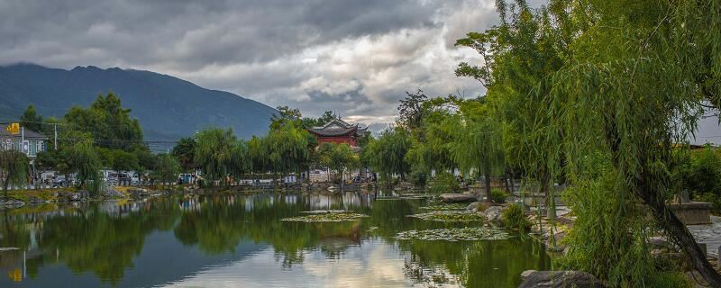 梦见水边垂柳什么意思 梦见水边垂柳有什么预兆