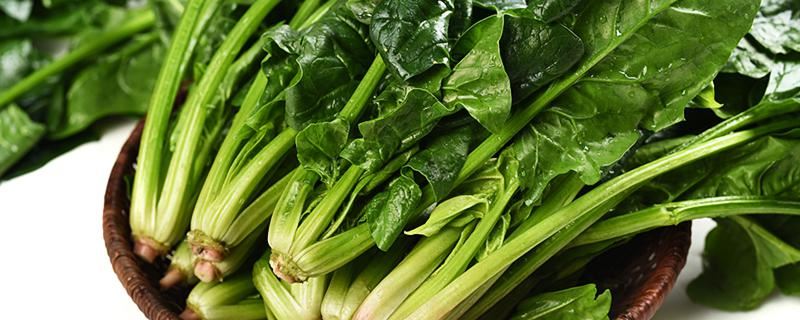 梦见青菜是什么意思 做梦梦见青菜好欠好