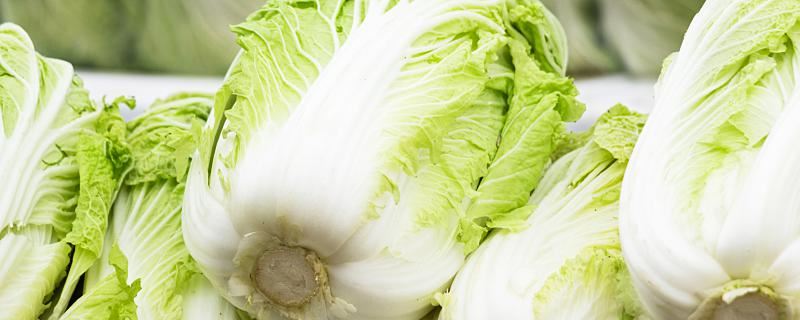 女性梦到卖白菜什么意思 女性做梦梦见卖白菜好不好
