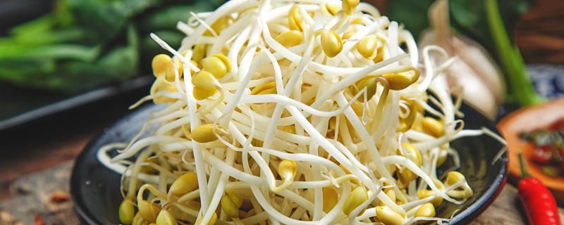 梦见吃豆芽是什么意思 做梦梦见吃豆芽好欠好