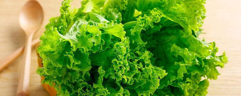 梦见生菜是什么意思 梦到生菜有啥预兆