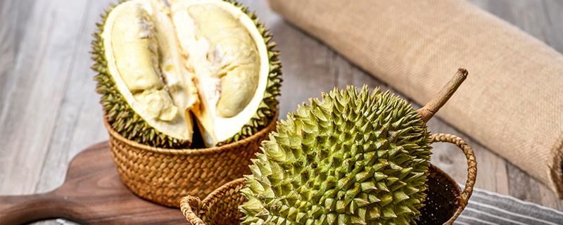 梦见榴莲树预示着什么 梦见榴莲树是什么意思