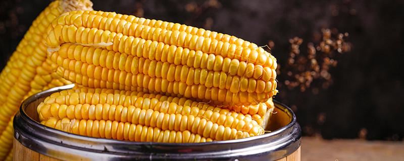 梦到买新鲜玉米什么意思 梦到买新鲜玉米意味着什么