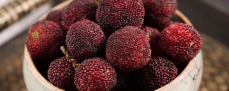 梦见摘杨梅预示什么 梦见摘杨梅是什么预兆