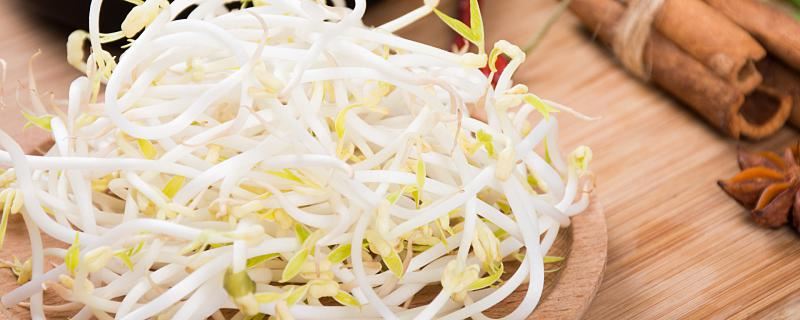 女性梦到绿豆芽什么意思 女性梦到绿豆芽是什么预兆