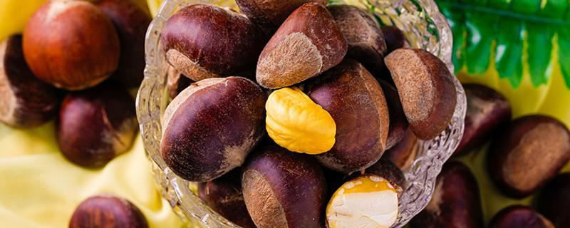 梦见与人一同捡板栗预示什么 梦见与人一同捡板栗是什么意思