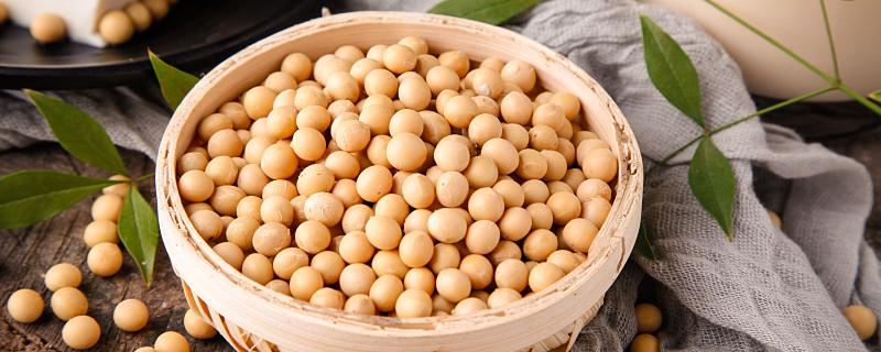 梦见黄豆预示什么 梦见黄豆是什么预兆