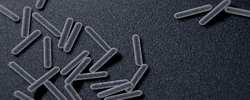 梦见寄生虫从体内出来好不好 梦见寄生虫从体内出来什么意思