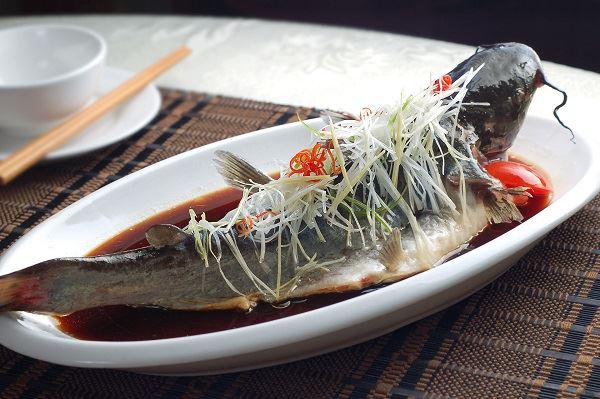 梦见鲈鱼什么意思 梦见鲈鱼预示什么