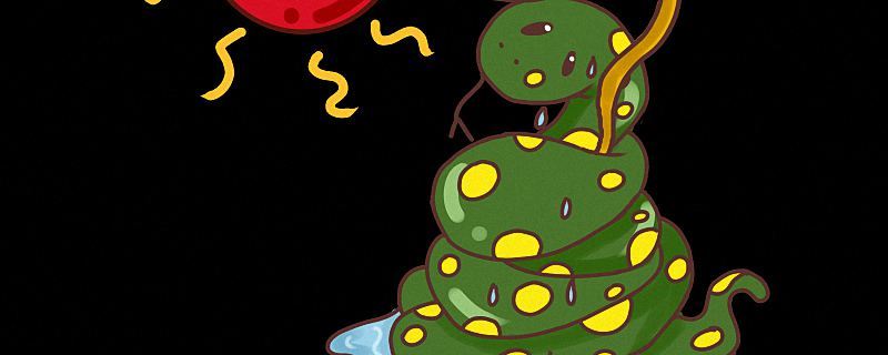 女性梦见脚下处处都是蛇预示什么 女性梦见脚下处处都是蛇是什么预兆