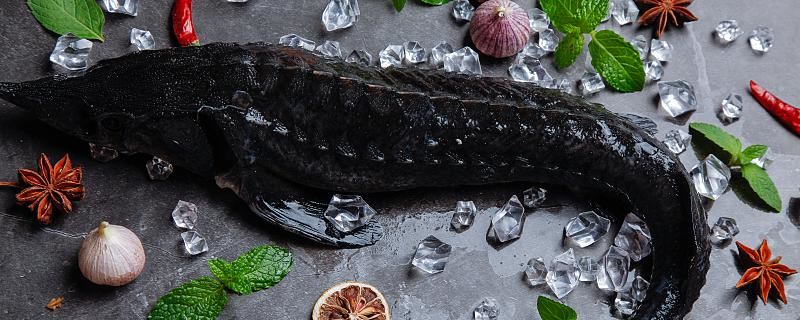 梦到娃娃鱼是什么意思 梦见娃娃鱼有什么涵义