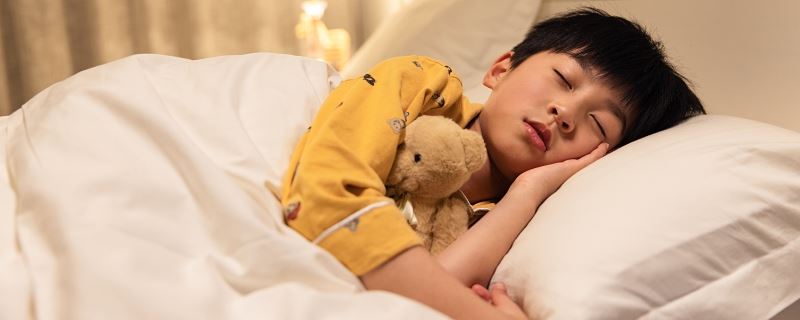 梦到狗熊什么意思 梦见狗熊代表了什么