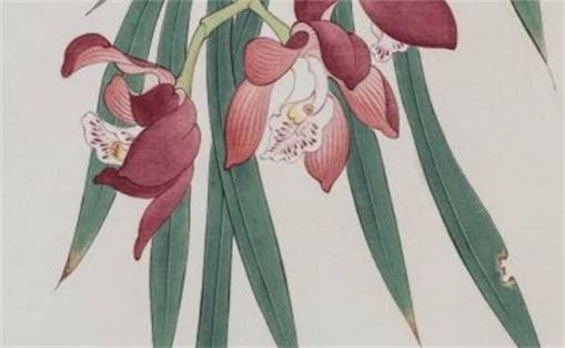 易经解说11位手机号 手机尾号后四位看穷富