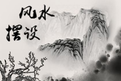 什么车牌号码吉祥涵义好运 字母有意义