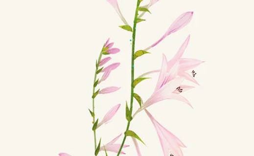 手机号码后6位解读 五行兴隆的手机靓号