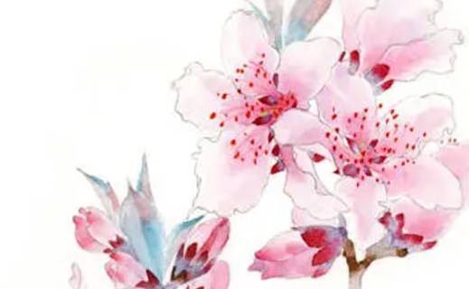 1234和4567哪个号码好,好记添福的靓号数组