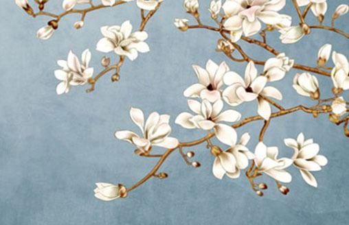 车牌号18好不好 安全且招财的车牌数字