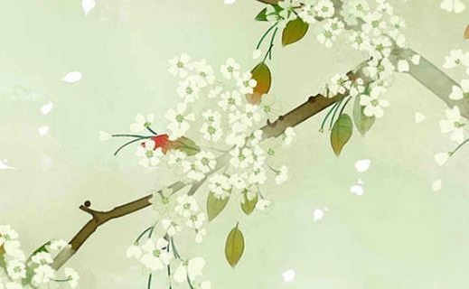 手机号有0和5的留意了 好运大吉的靓号引荐