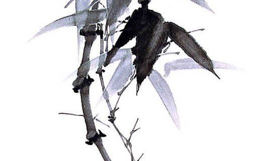 6999是标志什么意思 天使助运的号组引荐