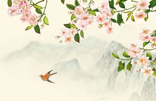 为什么好多人车牌尾号要6 吉祥车牌号挑选小好方法